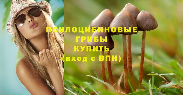 гашик Балахна