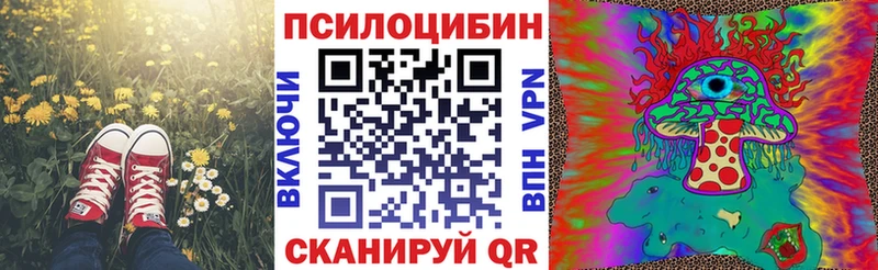 Галлюциногенные грибы Psilocybe  Няндома 
