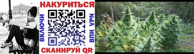 Канабис индика  цены   KRAKEN сайт  Няндома 